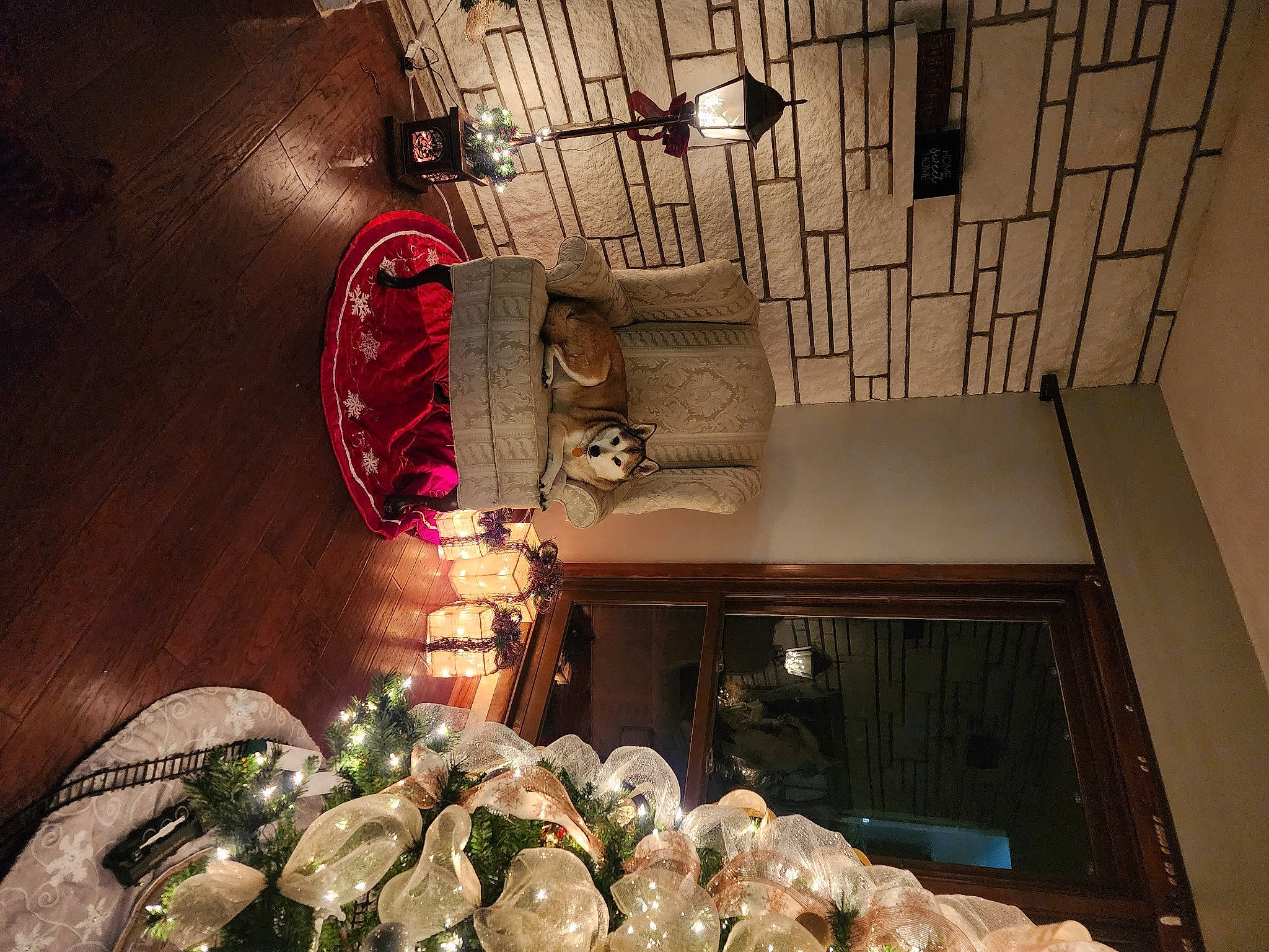 Ava is registered to the contest to win money with this photo: building, ceiling, delicacy, design, event, flooring, glass, house, houseplant, interior_design, light, lighting, magenta, metal, plant, room, snapshot, wood