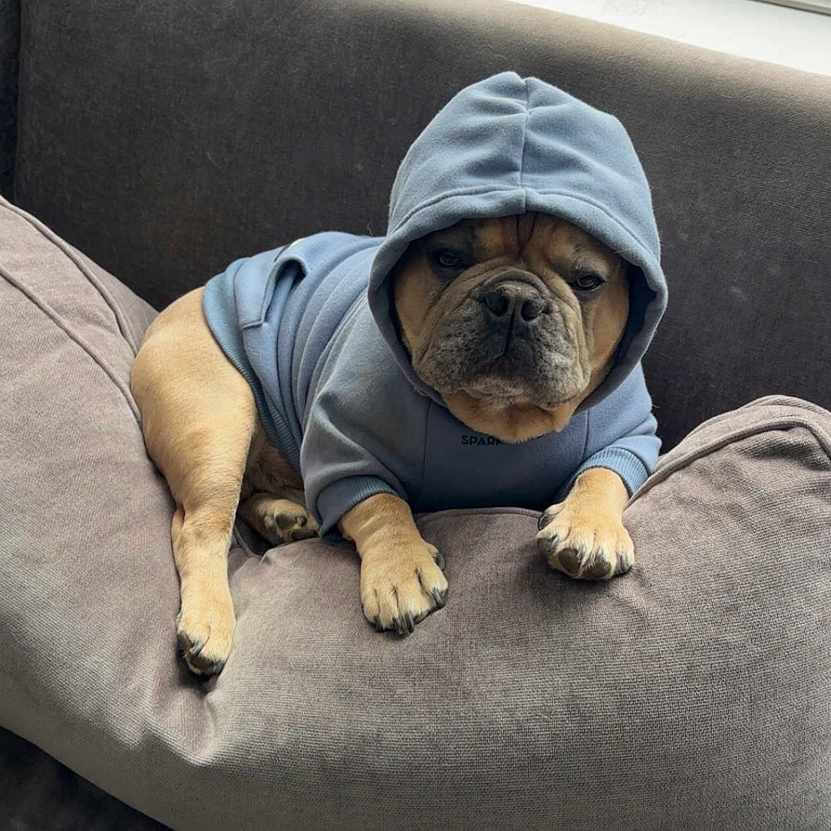 Chapo