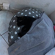 Tanos a rejoint le concours — aidez-le/la à gagner de superbes lots ! black_cat, cat, sleeping, blanket, cushion, star_pattern, indoor, tile_floor, wall, corner, pet, cozy, resting, fur, animal, home, comfort, quiet, nap, soft