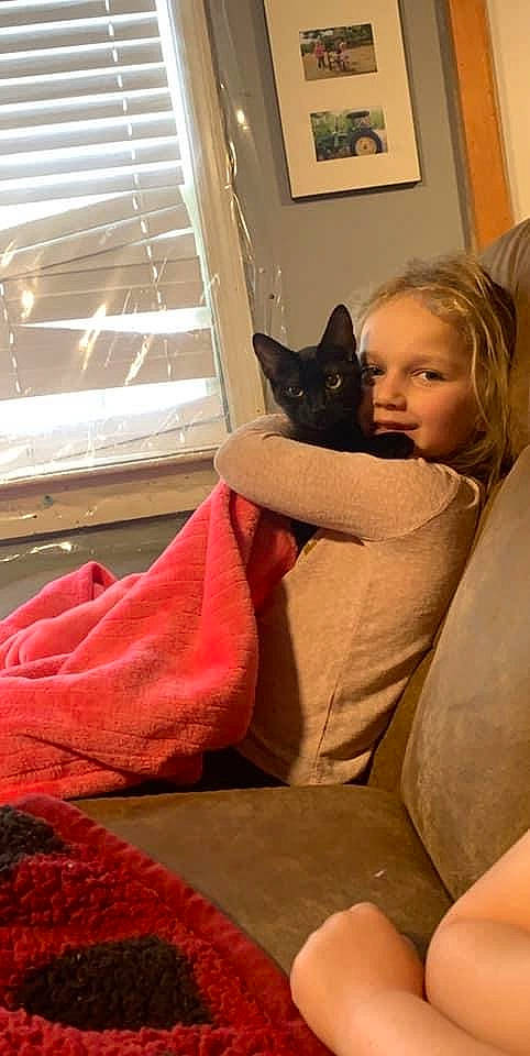 Lyllian is registered to the contest to win money with this photo: black_cat, carnivore, cat, comfort, felidae, leg, person, room, russian_blue, small_to_medium_sized_cats, whiskers