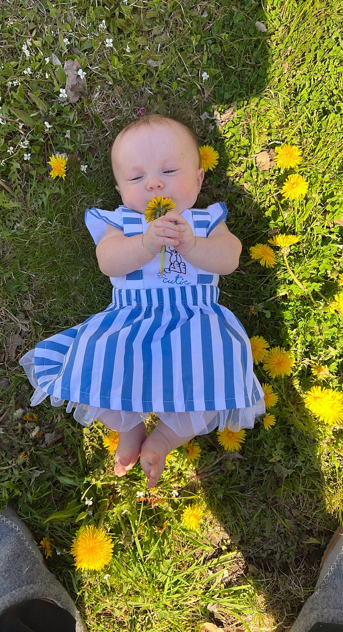 Bellarose joined the competition — help win amazing prizes! baby_toddler_clothing, beauty, botany, child, electric_blue, flower, fun, garden, grass, happy, leaf, meadow, pattern, people_in_nature, person, plant, shrub, summer, sunlight, toddler