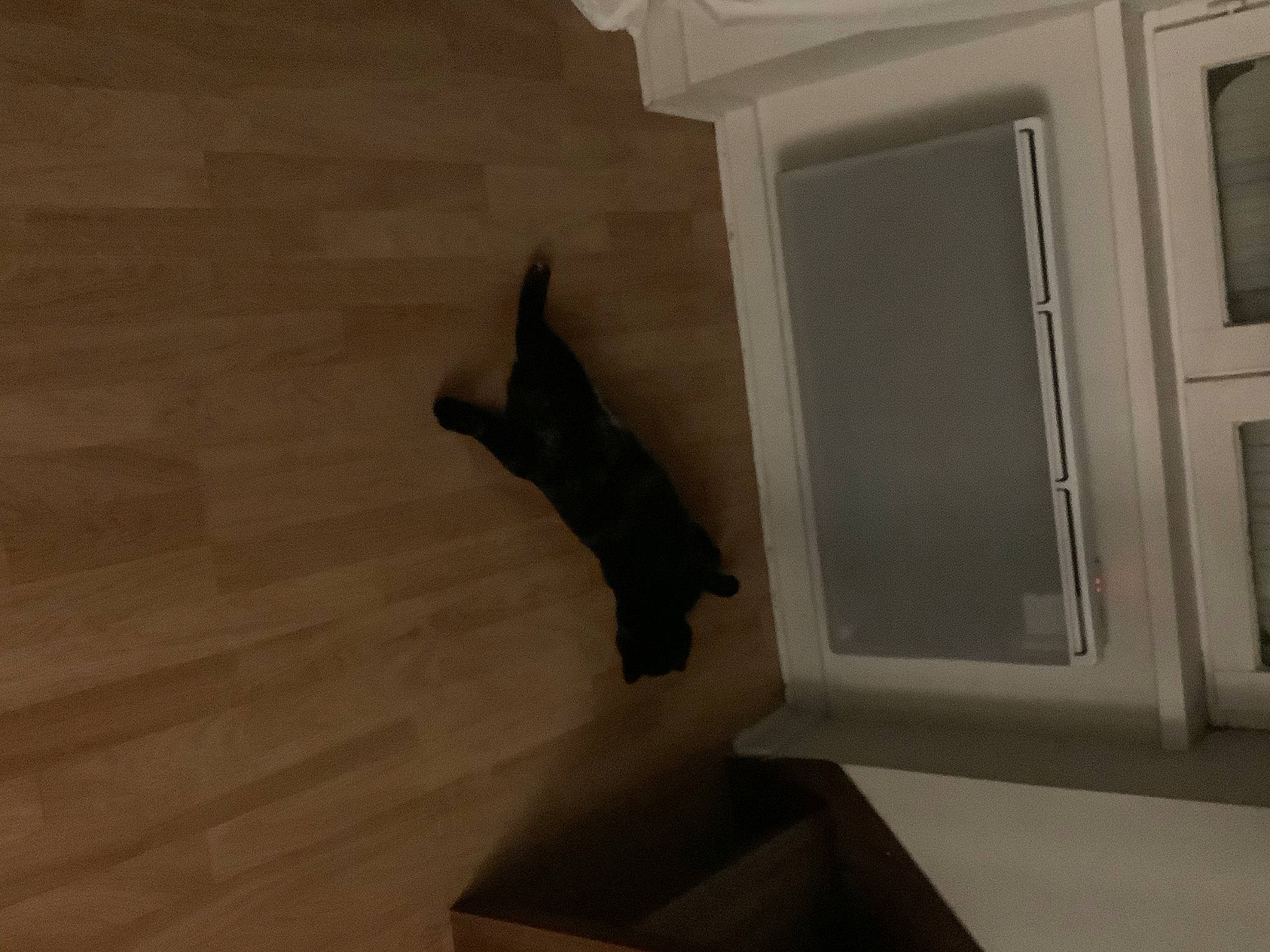 Lipton participe au concours pour gagner de l'argent avec cette photo : art, artifact, bat, building, ceiling, creative_arts, felidae, flooring, grey, hardwood, metal, molding, plaster, room, sculpture, shadow, tail, tourist_attraction, visual_arts, wood