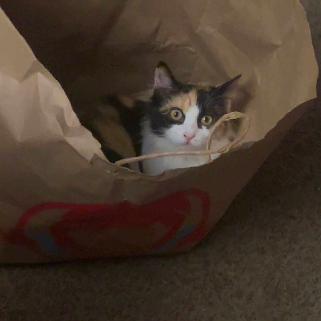 Tilly