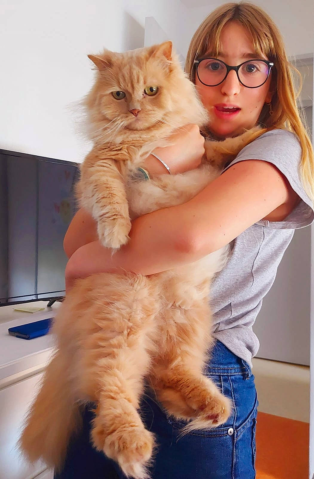 Barth a rejoint le concours — aidez-le/la à gagner de superbes lots ! blond, carnivore, cat, comfort, companion_dog, eyewear, fawn, felidae, fur, gesture, glasses, hair, happy, lap, leg, skin, small_to_medium_sized_cats, thigh, vision_care, whiskers