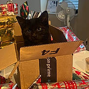 Moon a rejoint le concours — aidez-le/la à gagner de superbes lots ! cat, black_cat, box, cardboard_box, amazon_box, christmas_wrapping, wrapping_paper, gifts, presents, indoor, table, fan, window, holiday, festive, curious, pet, animal, feline, cozy