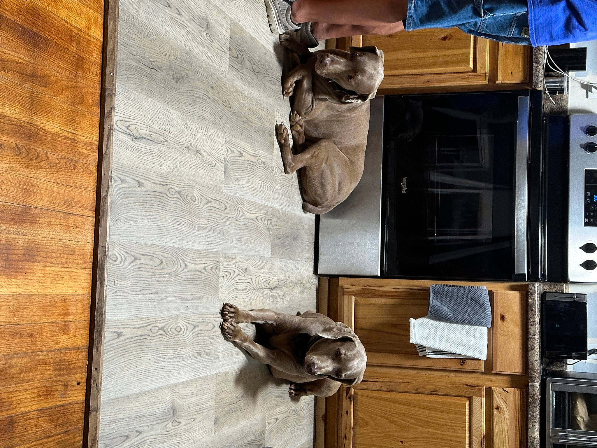 Jake is registered to the contest to win money with this photo: art, building, door, facade, flooring, gas, hardwood, house, machine, metal, plywood, room, sculpture, statue, street, window, wood, wood_stain