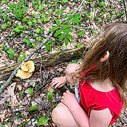 Leah is registered to the contest to win money with this photo: child, red_shirt, forest, mushrooms, leaves, fallen_branch, green_plants, outdoor, nature, curly_hair, kneeling, purple_shoe, exploration, woodland, ground, plants, casual_clothing, daylight, person, crouching