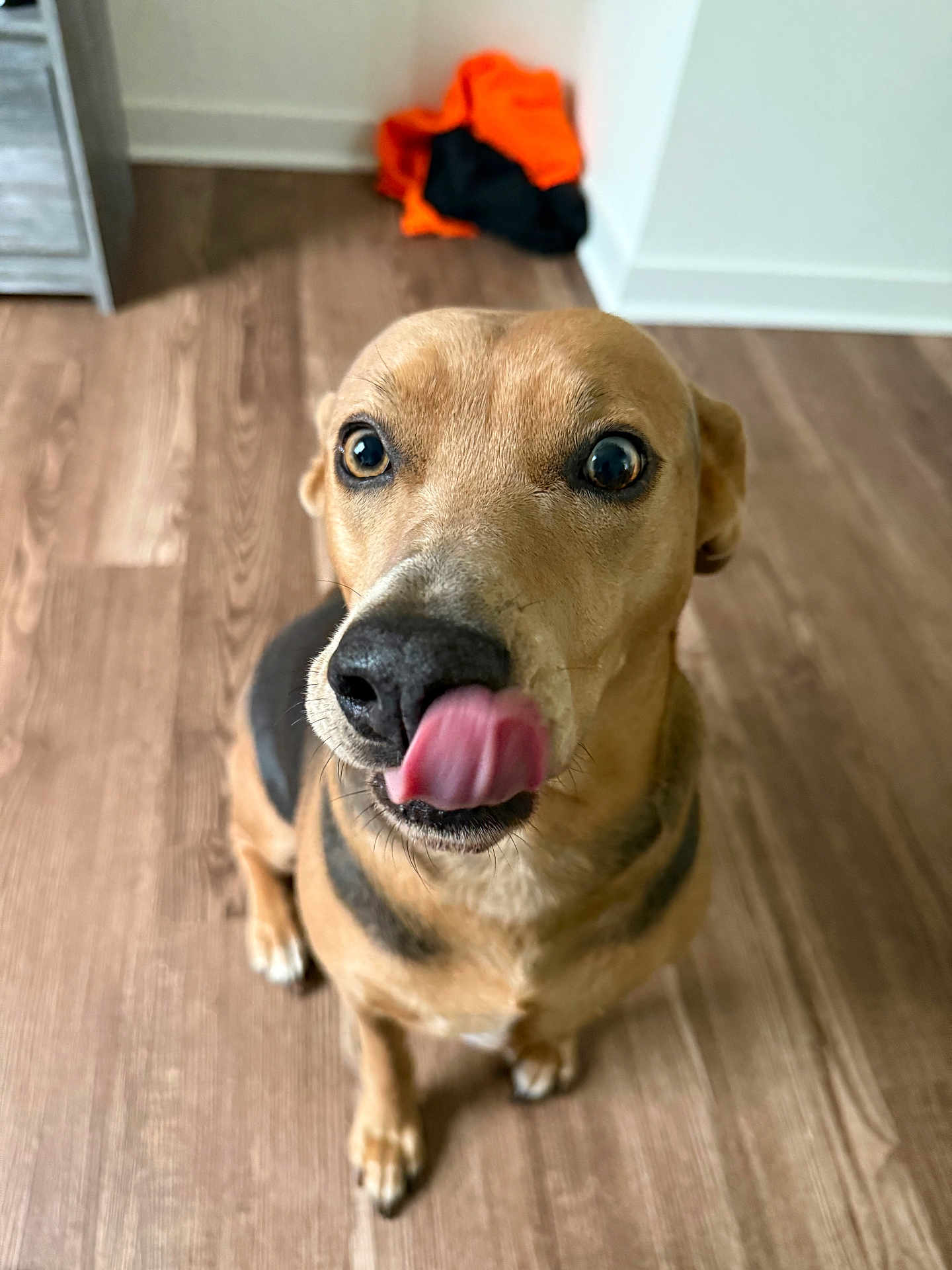 Pixie