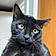 Mr Wiggles