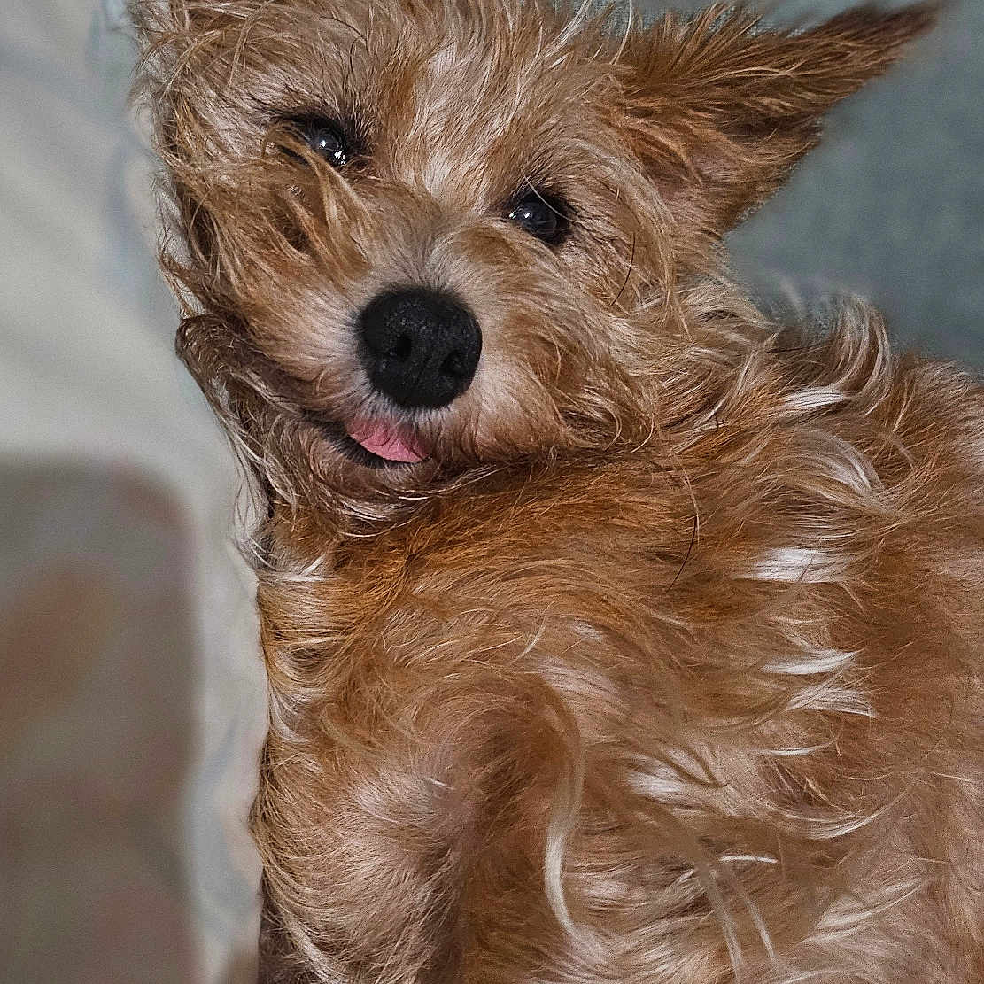 Miky