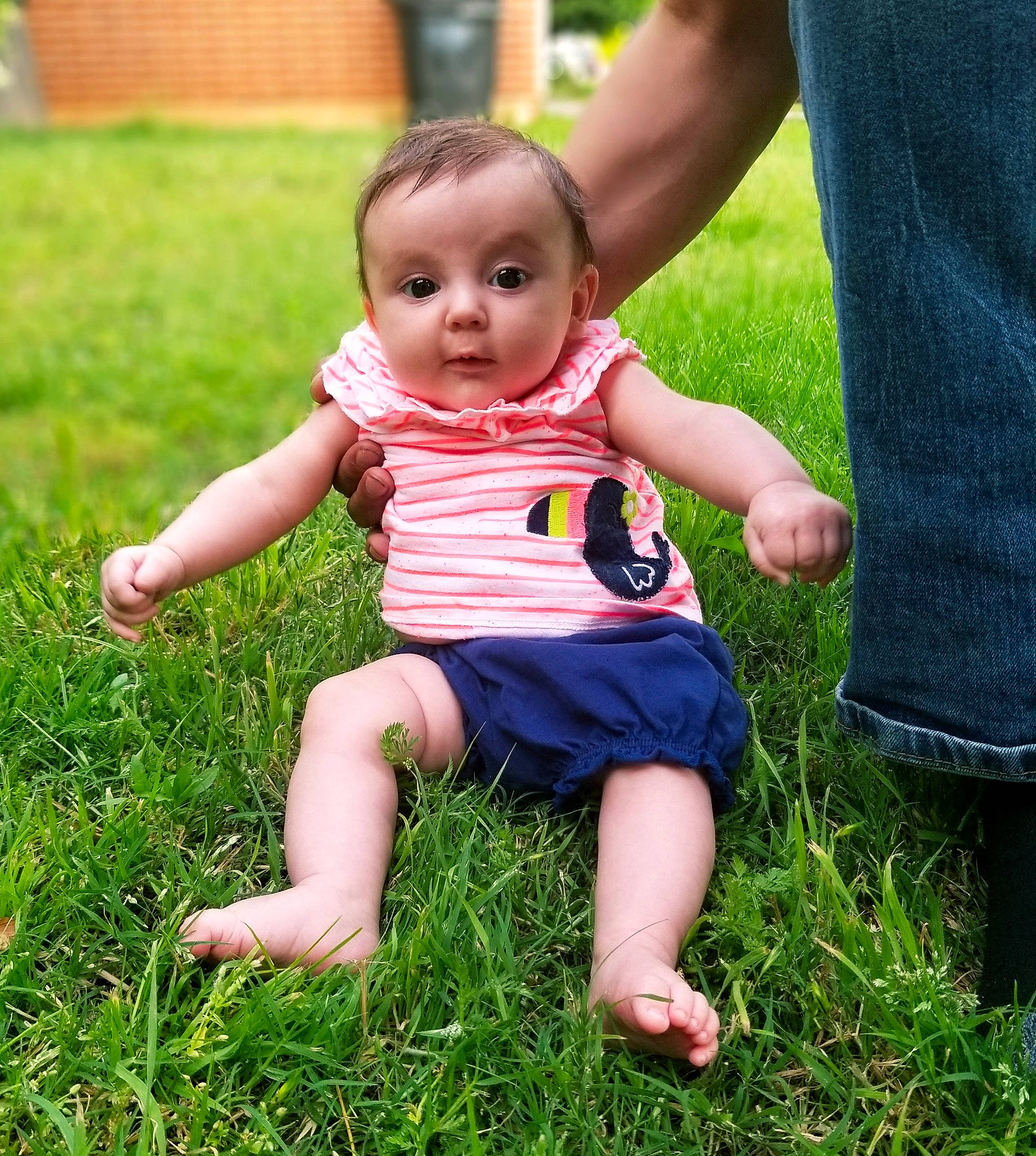 Selina joined the competition — help win amazing prizes! baby, barefoot, child, finger, fun, grass, grass_family, hand, happy, lawn, meadow, person, plant, play, sitting, skin, smile, summer, thumb, toddler