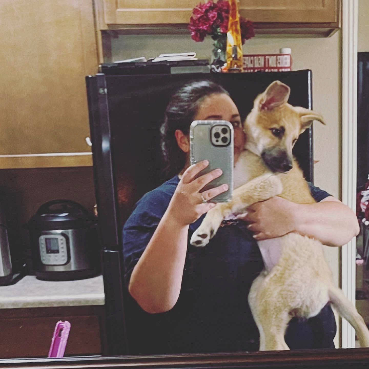 Cayman Jack is registered to the contest to win money with this photo: carnivore, coffeemaker, companion_dog, dog, dog_breed, dog_supply, electric_kettle, fawn, felidae, food_processor, home_appliance, kettle, kitchen, kitchen_appliance, mirror, small_to_medium_sized_cats, snout, toaster, whiskers, working_animal