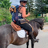 Tequila participe au concours pour gagner de l'argent avec cette photo : woman, person, horse, dog, rider, equestrian, backpack, goggles, helmet, sunglasses, outdoor, trees, flowers, street, saddle, bridle, reins, riding_boots, animal, portrait