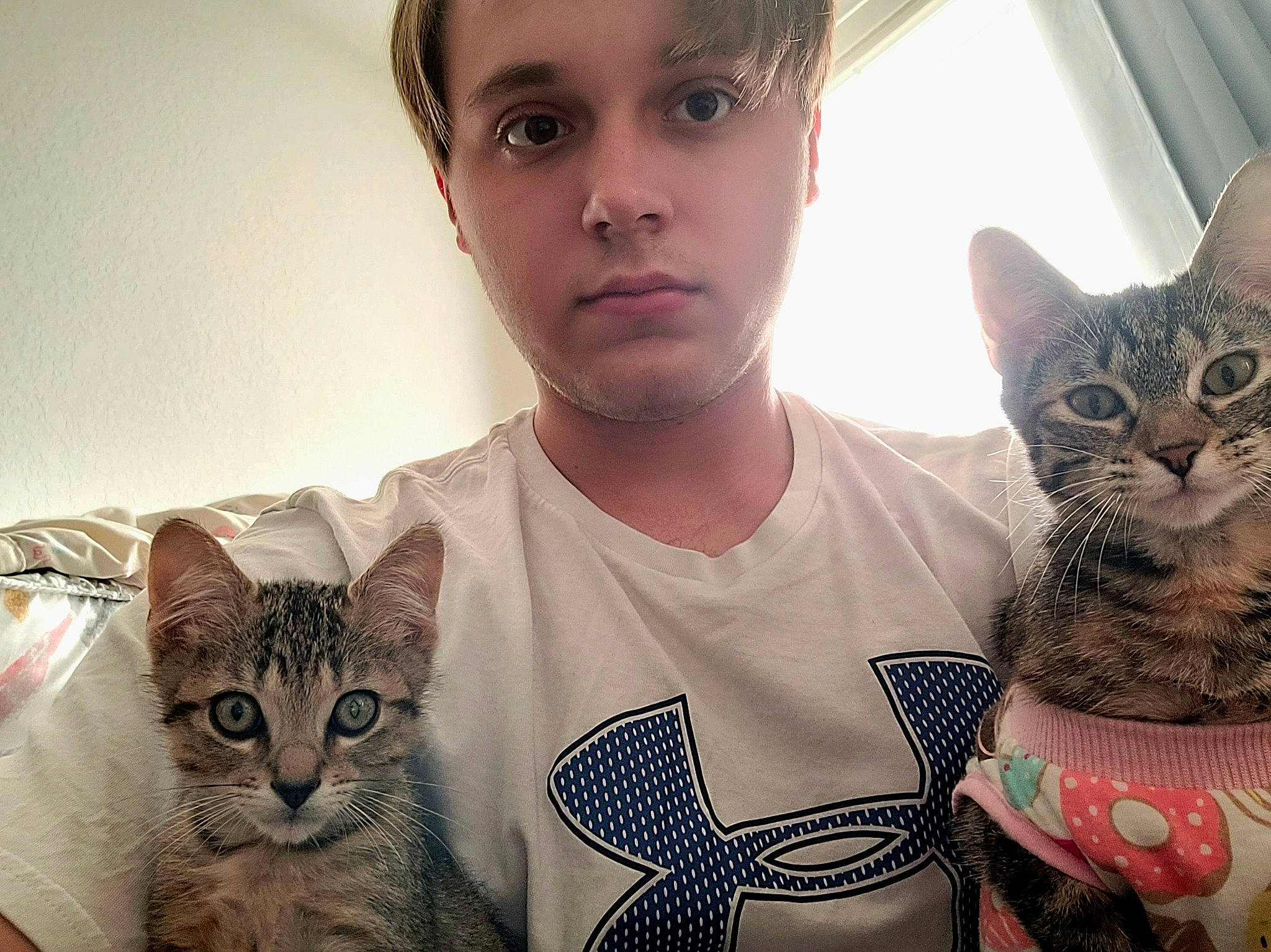 Lennox joined the competition — help win amazing prizes! carnivore, cat, domestic_short_haired_cat, drinking, ear, fawn, felidae, fur, gesture, happy, iris, organ, pattern, selfie, small_to_medium_sized_cats, t_shirt, visual_arts, whiskers