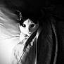 cat, blanket, bed, pet, indoor, black_and_white, fur, whiskers, eyes, collar, curious, cozy, resting, animal, domestic, comfort, soft, texture, face, portrait