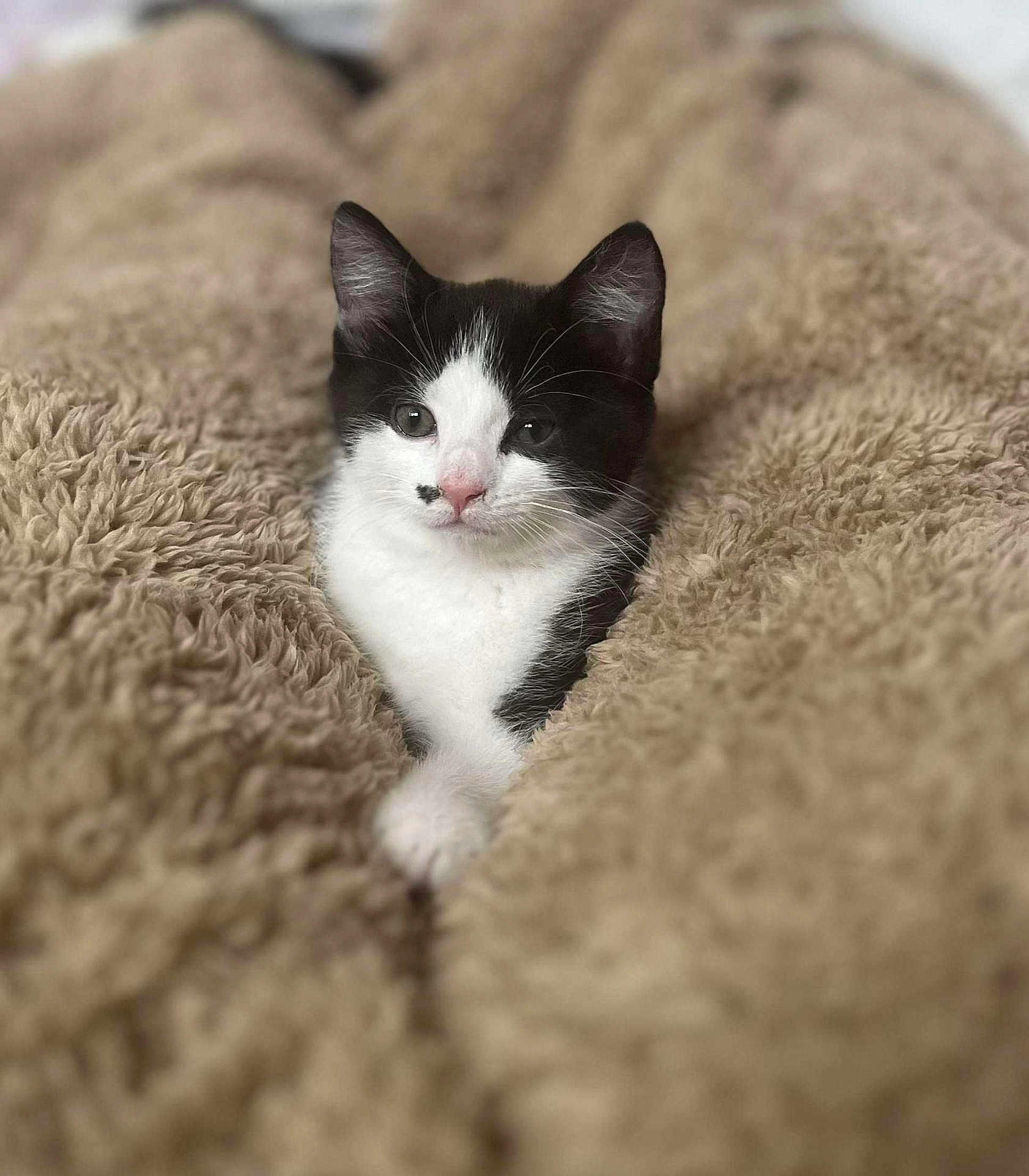 Marilyn