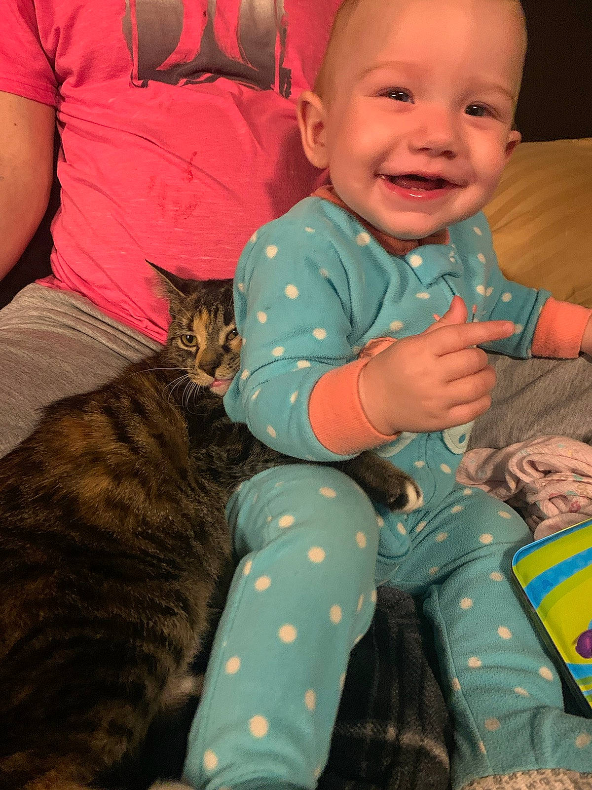 Ariella joined the competition — help win amazing prizes! baby, baby_toddler_clothing, carnivore, cat, comfort, facial_expression, fawn, felidae, happy, human, iris, joy, lap, organ, people, person, skin, small_to_medium_sized_cats, smile, textile