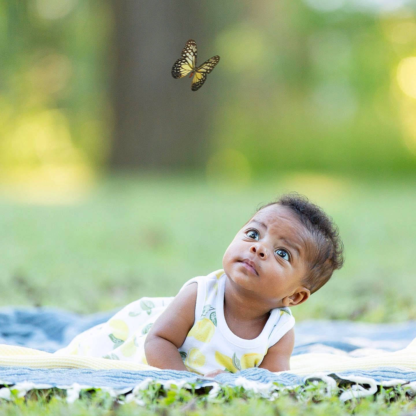 Khalani is registered to the contest to win money with this photo: adaptation, arthropod, baby, baby_toddler_clothing, butterfly, child, flash_photography, fun, grass, green, happy, insect, leisure, meadow, moths_and_butterflies, people_in_nature, person, pollinator, skin, sunlight