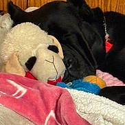 Gemma is registered to the contest to win money with this photo: animal, black_dog, blanket, collar, cozy, cute, dog, fur, indoor, pet, pink_blanket, relaxing, resting, sheep_toy, sleeping, snuggled, stuffed_toy, toy, white_blanket, wooden_wall