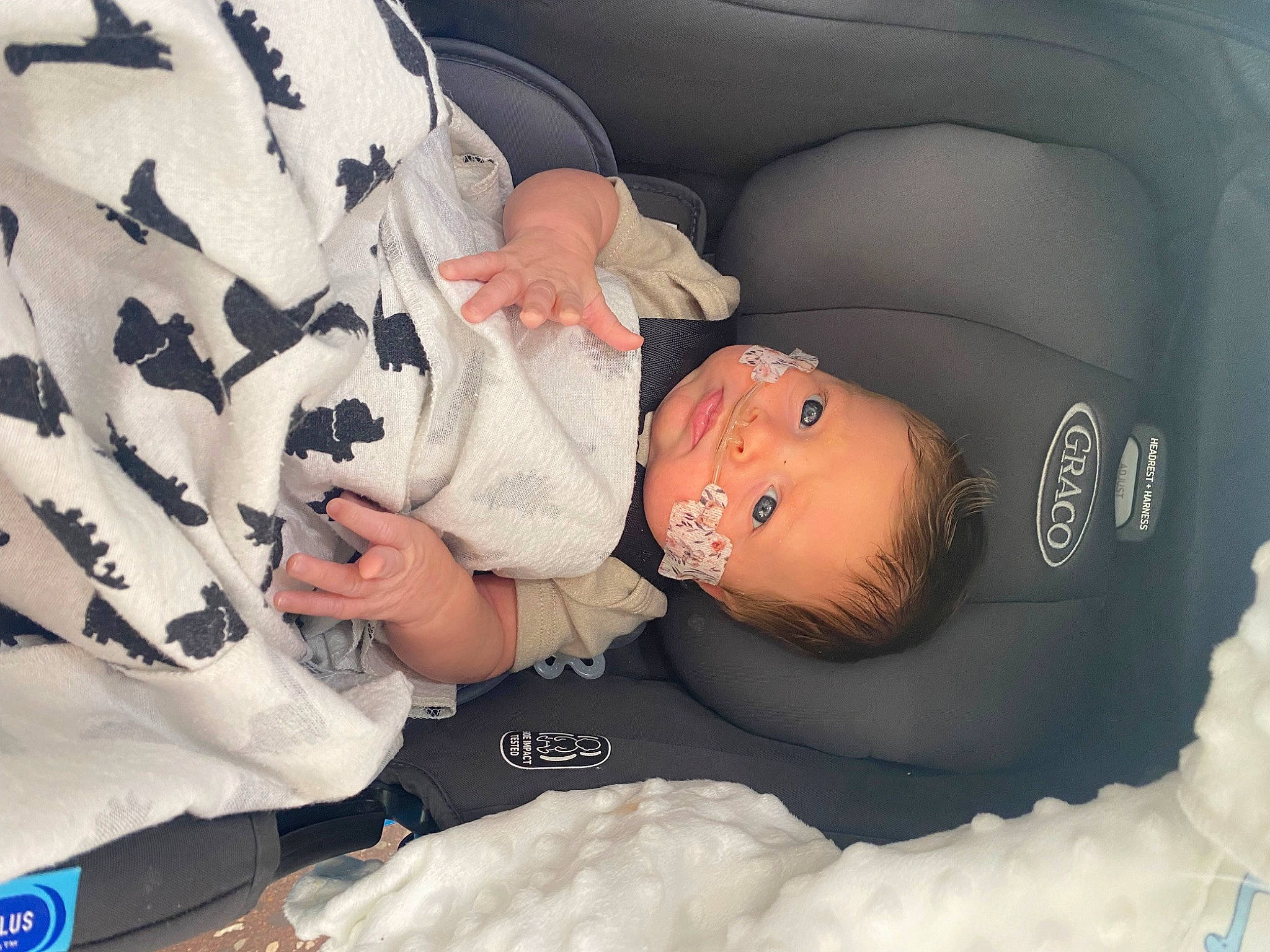 Colt is registered to the contest to win money with this photo: baby, baby_products, baby_sleeping, baby_toddler_clothing, car_seat, car_seat_cover, child, comfort, family_car, finger, hat, nail, pattern, person, seat_belt, sitting, sleep, sleeve, thumb, toddler