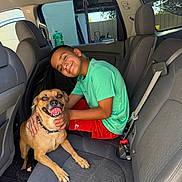 Rolo is registered to the contest to win money with this photo: boy, car_interior, child, clothing, collar, dog, floor_mat, green_shirt, hand, happy, indoor, pet, red_shorts, seat, seatbelt, shorts, smiling, sunlight, tongue_out, window
