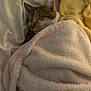 cat, sleeping_cat, blanket, pink_blanket, bed, pillow, fur, collar, cozy, nap, indoors, soft_texture, close_up, domestic_animal, pet, whiskers, ear, relaxed, night, home