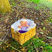 Madilynn joined the competition — help win amazing prizes! basket, grass, plant, tree