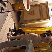 Thor participe au concours pour gagner de l'argent avec cette photo : automotive_design, ceiling, comfort, flooring, house, light, linens, room, shadow, sitting, space, tints_and_shades, visual_arts, white, wood