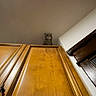 animal, brown, cat, ceiling, curious, domestic, feline, furniture, home, household, indoor, light, looking_down, pet, quiet, room, shadow, still_life, wall, wooden_cabinet
