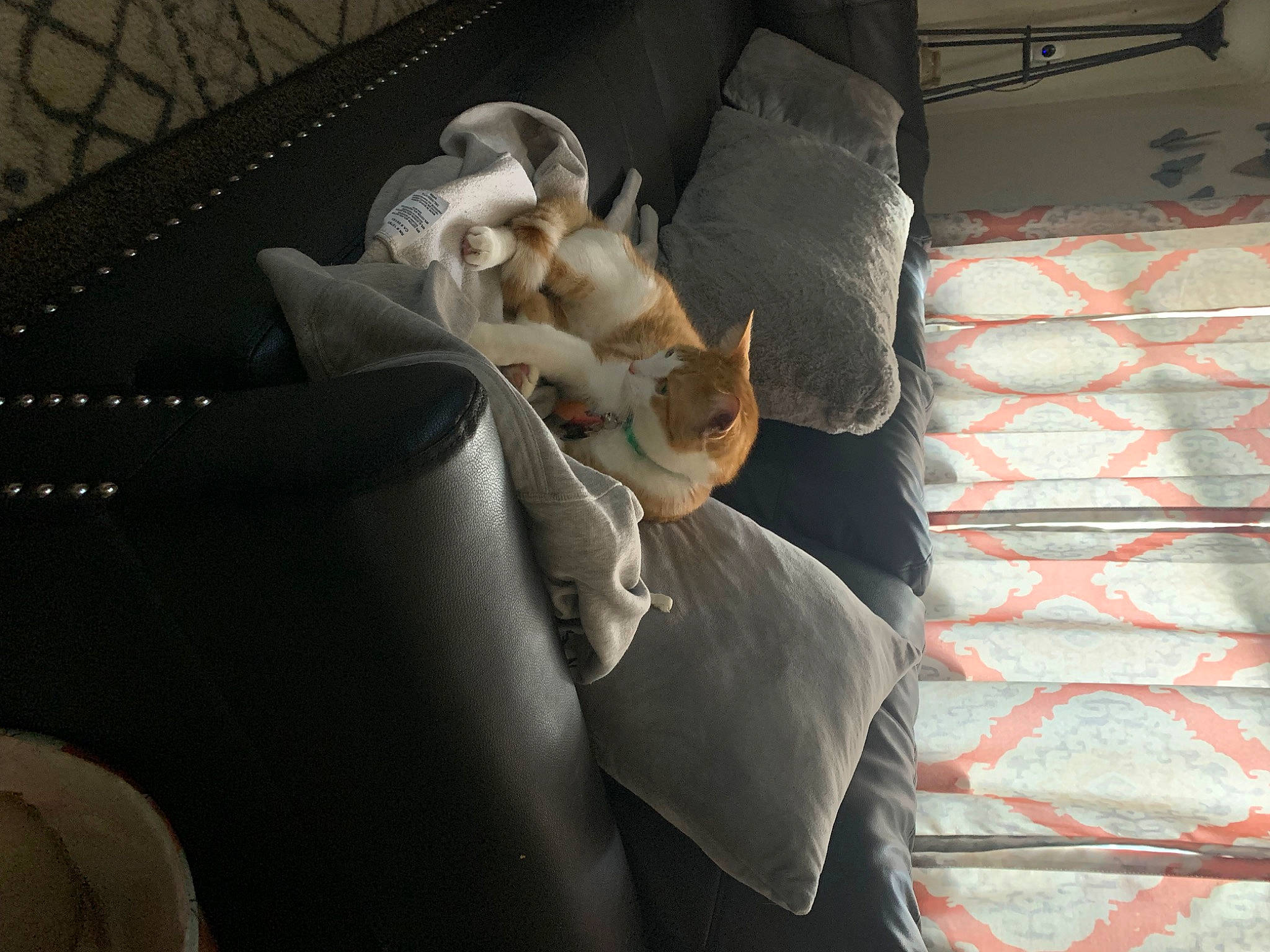 Chief is registered to the contest to win money with this photo: armrest, auto_part, automotive_design, automotive_tire, automotive_wheel_system, car_seat, carmine, comfort, flooring, gas, human_leg, knee, metal, pattern, pipe, room, textile, tints_and_shades, toy, wood