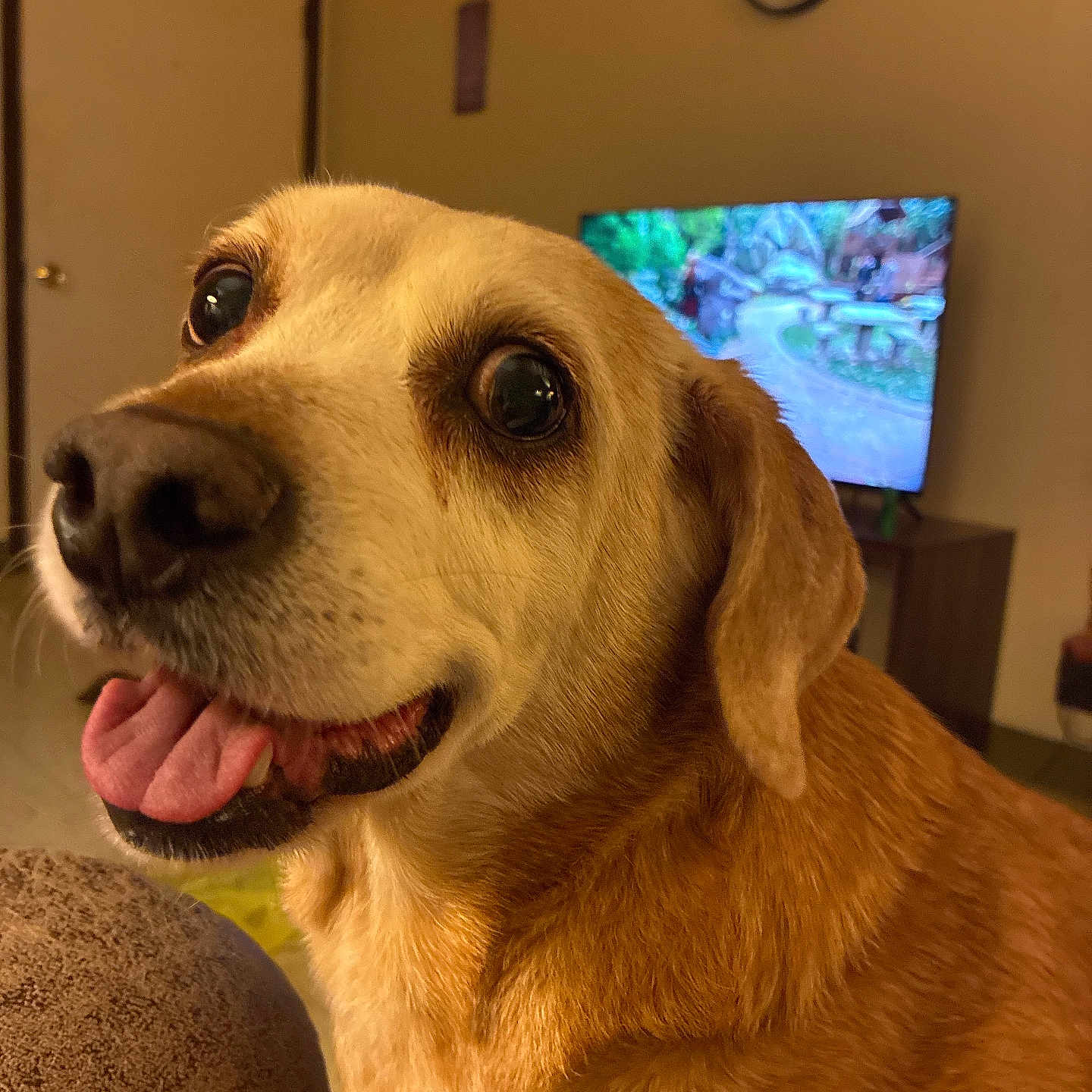 Cooper