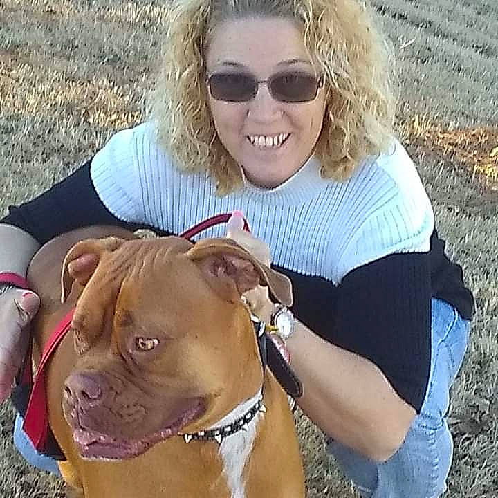 Jade joined the competition — help win amazing prizes! carnivore, collar, companion_dog, cool, dog, dog_breed, dog_collar, eyewear, fawn, fun, glasses, goggles, grass, happy, leash, smile, sporting_group, sunglasses, vision_care, working_animal