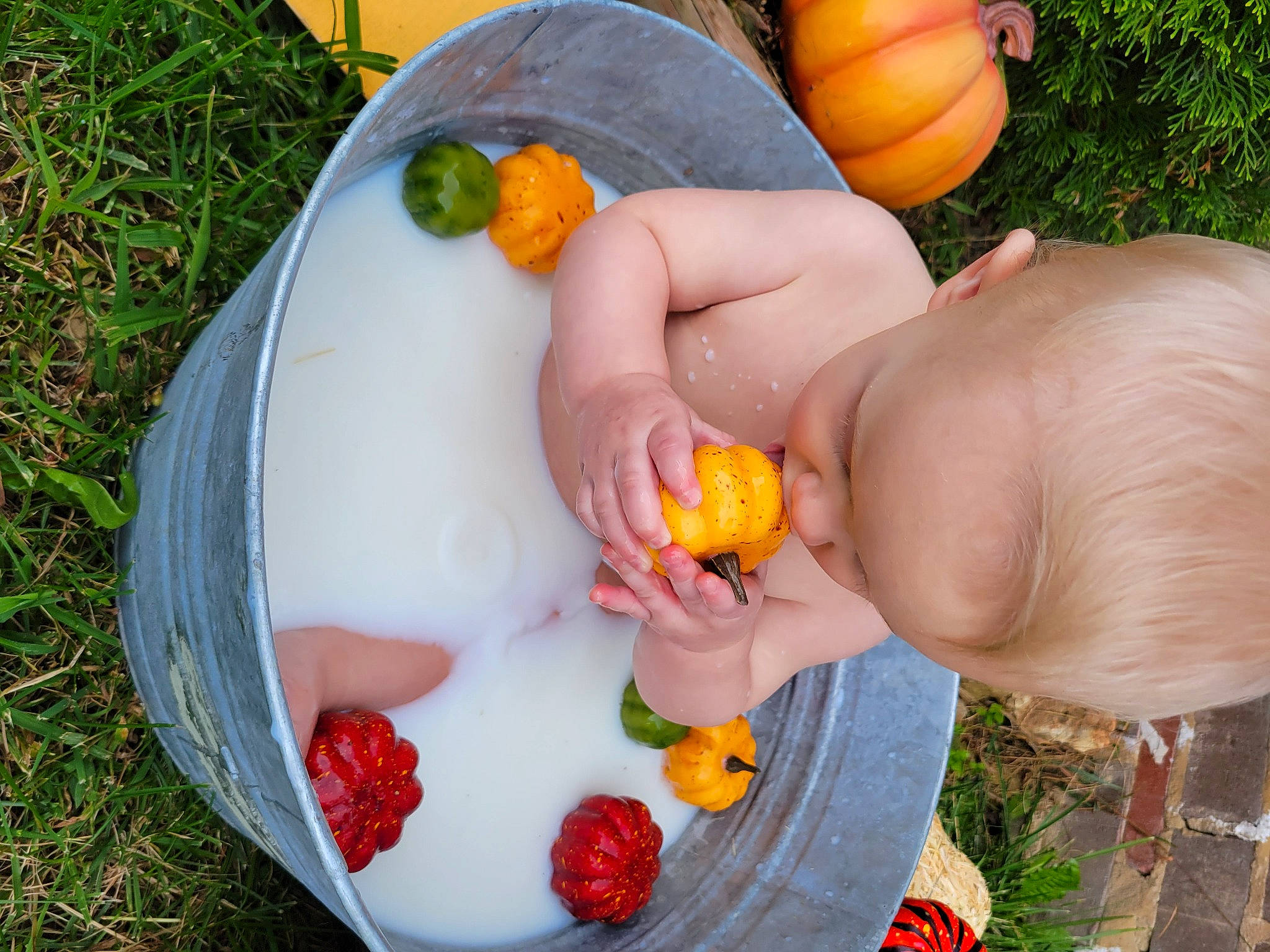 Slade is registered to the contest to win money with this photo: calabaza, cucurbita, cuisine, finger, food, gourd, grass, green, hand, ingredient, leaf, nail, natural_foods, orange, person, plant, pumpkin, strawberry, thumb, toy