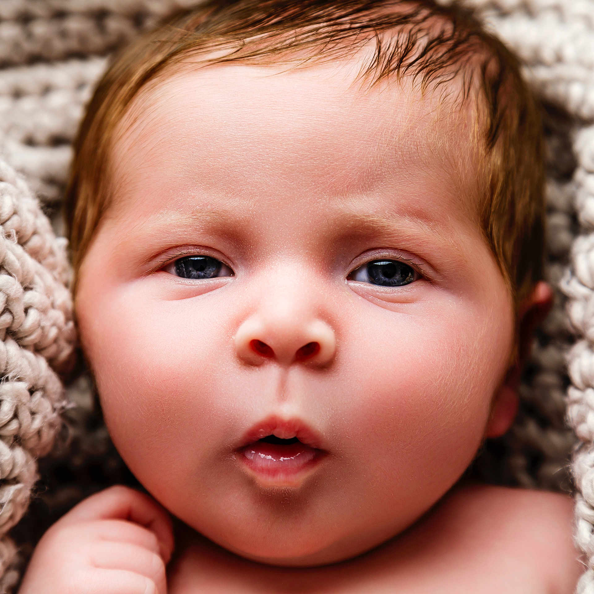 Ivy is registered to the contest to win money with this photo: baby, infant, face, close_up, skin, eyes, mouth, hand, knitted_blanket, hair, cute, newborn, portrait, soft_lighting, expression, cozy, child, human, toddler, warm