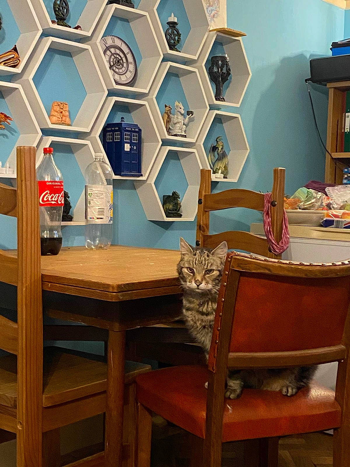 Meatball is registered to the contest to win money with this photo: aqua, art, azure, chair, desk, drawer, floor, flooring, furniture, hardwood, interior_design, lamp, living_room, picture_frame, property, shelf, shelving, table, textile, wood