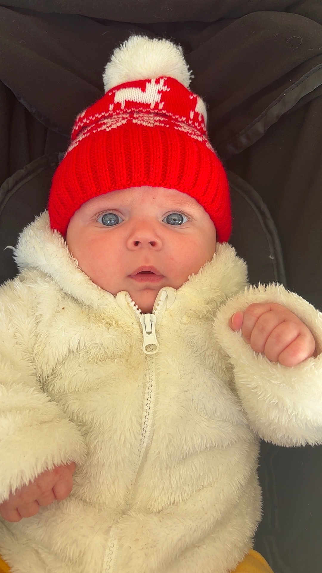 Cylian participe au concours pour gagner de l'argent avec cette photo : baby, infant, red_hat, pom_pom, white_jacket, fluffy_clothing, stroller, child, cute, wide_eyes, winter_clothing, face, portrait, curious, hands, warm, outdoor_gear, soft_texture, headwear, closeup