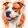 Aros a rejoint le concours — aidez-le/la à gagner de superbes lots ! dog, watercolor, portrait, art, painting, brown, white, happy, smiling, face, ears, tongue, expression, animal, pet, artistic, colorful, background, drips, name