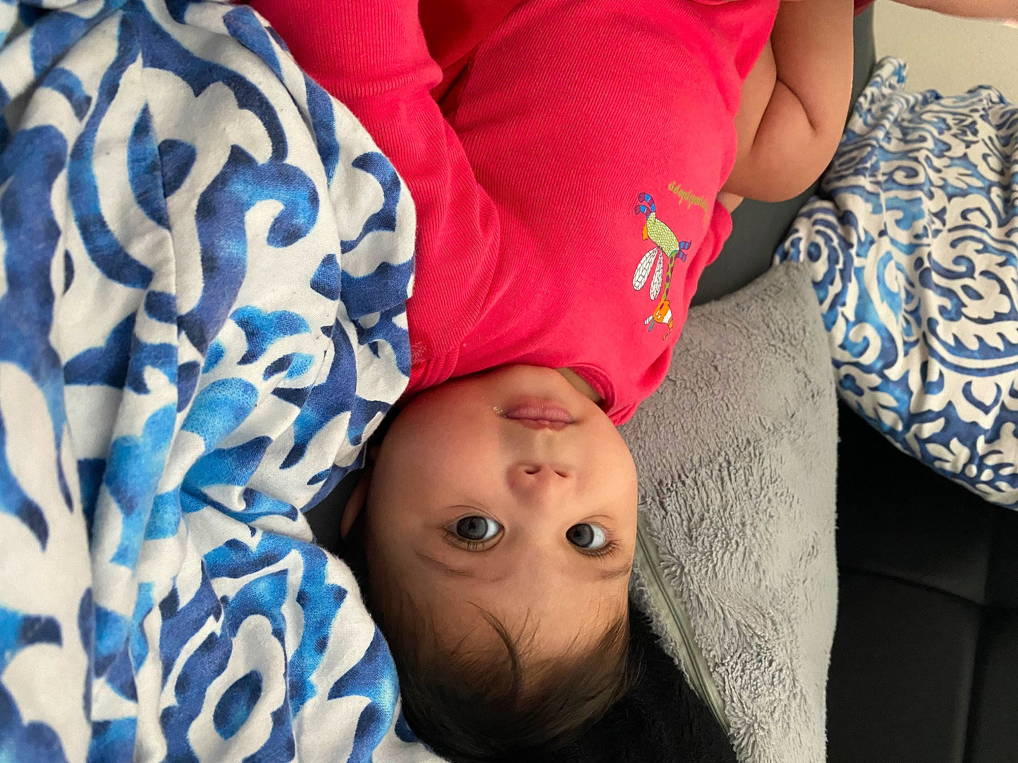 Stella a rejoint le concours — aidez-le/la à gagner de superbes lots ! baby, comfort, cool, elbow, face, finger, gesture, glasses, happy, joint, mouth, nose, organ, people, person, skin, smile, textile, thigh, toddler