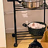 white_cat, black_cat, cat, kitchen, cooking_pot, metal_pot, rack, floor, indoor, pet, animal, feline, curled_up, resting, cozy, domestic, household, paper_bag, shadow, corner