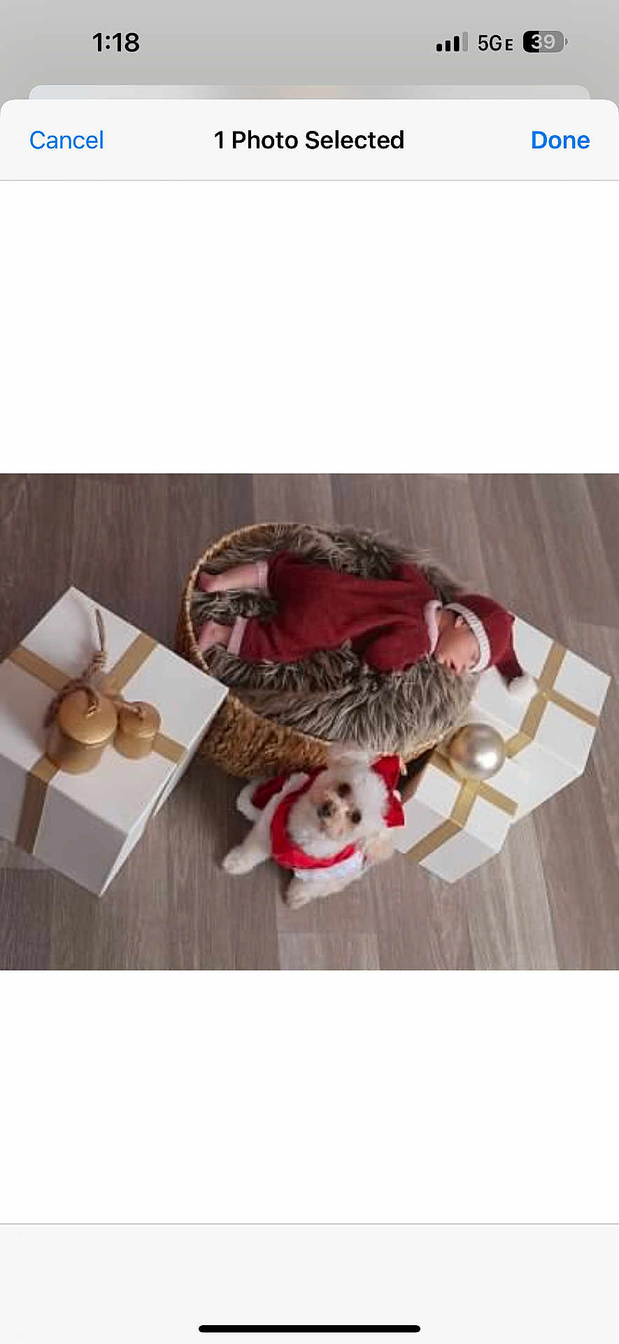 Iris Nolasco Chavez joined the competition — help win amazing prizes! baby, basket, dog, holiday, christmas, gift_box, wooden_floor, red_clothing, santa_hat, furry_blanket, festive, sleeping, pet, small_dog, indoors, cute, decorations, holiday_outfit, lying_down, present