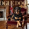armchair, books, british_flag, collar, dog, elegant, fashion, indoor, interior, luxury, marble_fireplace, necklace, pet, portrait, table, text_overlay, vintage_furniture, window, wood_floor, wood_paneling