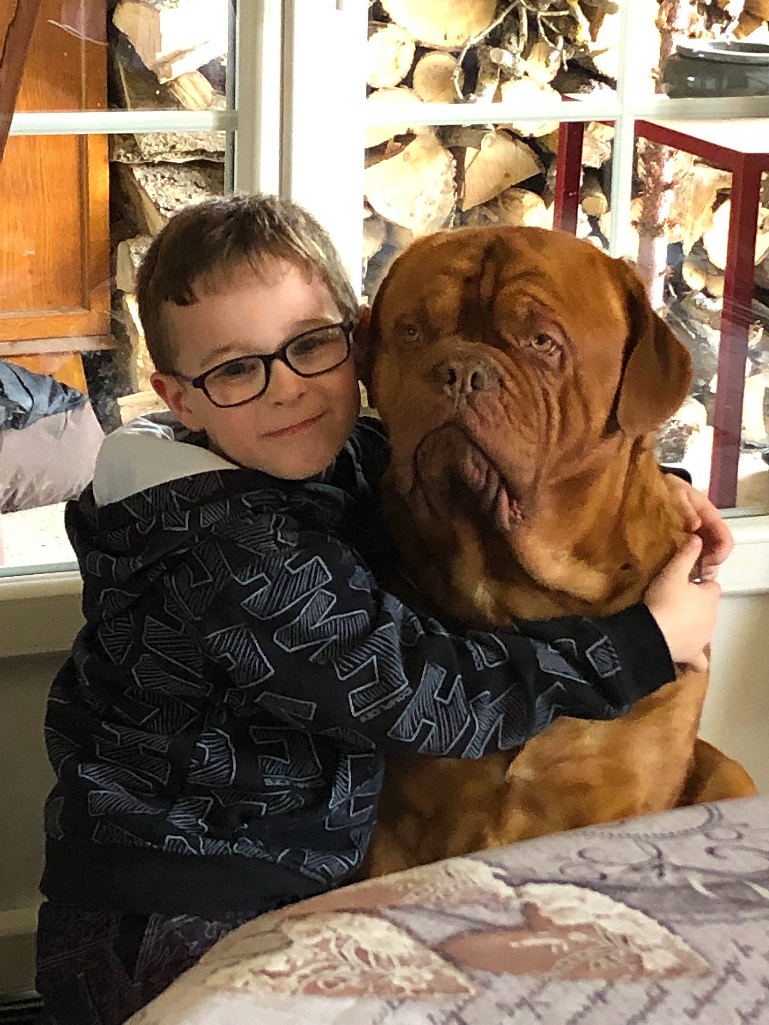 Leeroy participe au concours pour gagner de l'argent avec cette photo : bullmastiff, canidae, carnivore, companion_dog, dog, dog_breed, dogue_de_bordeaux, fawn, guard_dog, korean_mastiff, mammal, molosser, neapolitan_mastiff, old_english_bulldog, person, shar_pei, working_dog, wrinkle