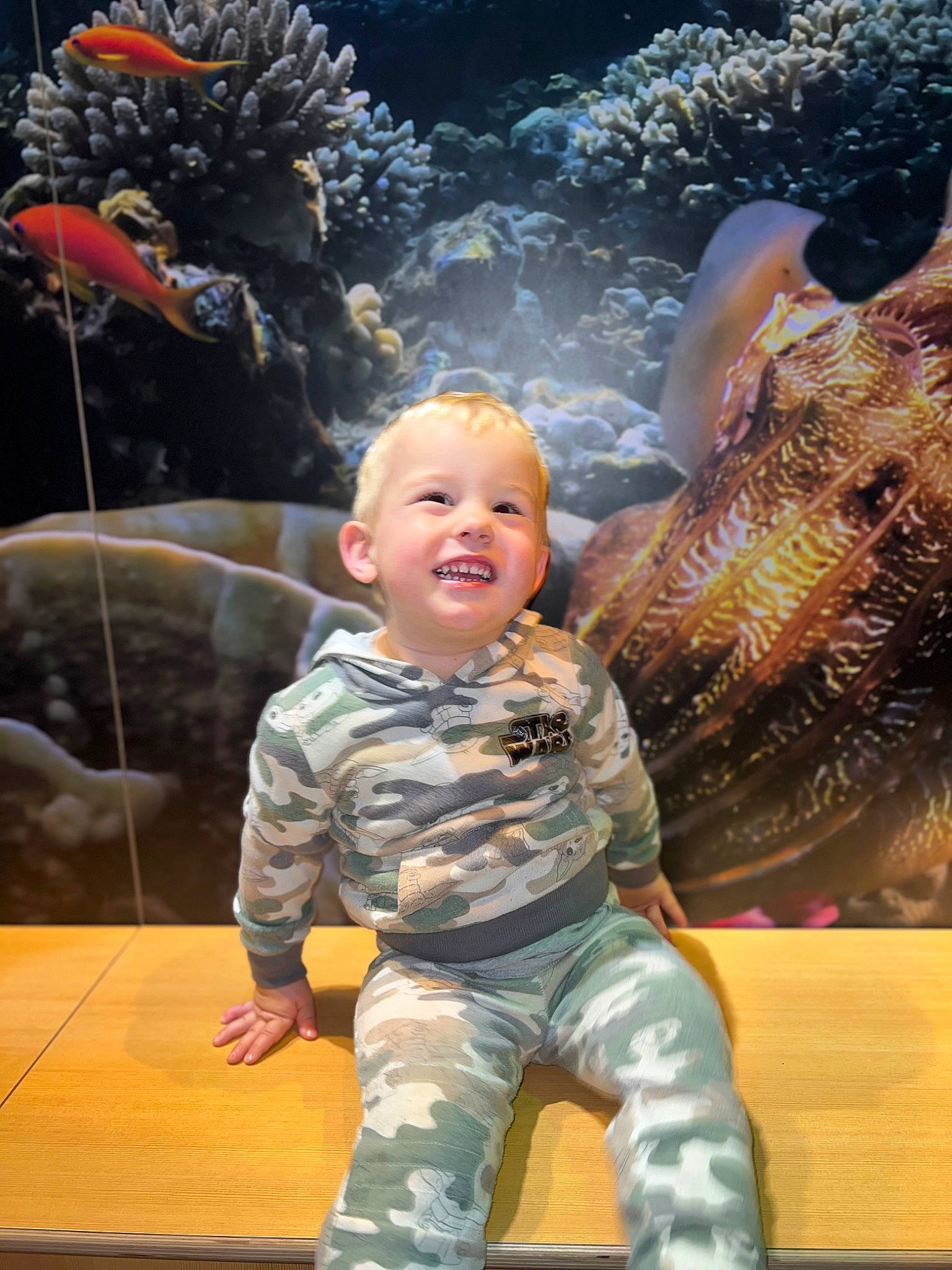 Jonah is registered to the contest to win money with this photo: aquarium, camouflage, child, event, fun, happy, human, joy, leisure, marine_biology, military_camouflage, military_person, military_uniform, non_commissioned_officer, person, recreation, smile, soldier, toddler, tree