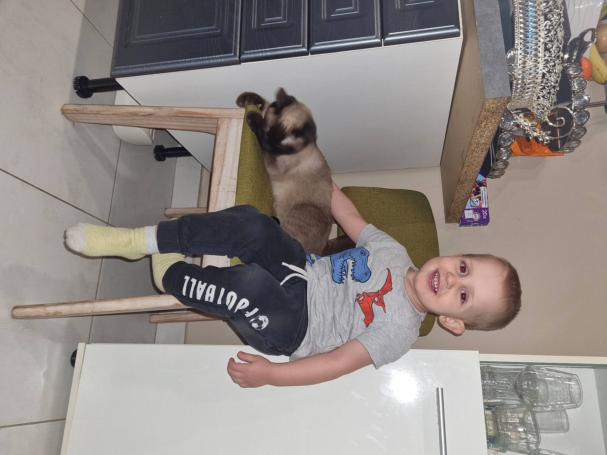 Eman participe au concours pour gagner de l'argent avec cette photo : baby, canidae, carnivore, comfort, companion_dog, dog, dog_breed, elbow, fawn, flooring, joy, knee, mammal, person, room, smile, sporting_group, t_shirt, thigh, toddler