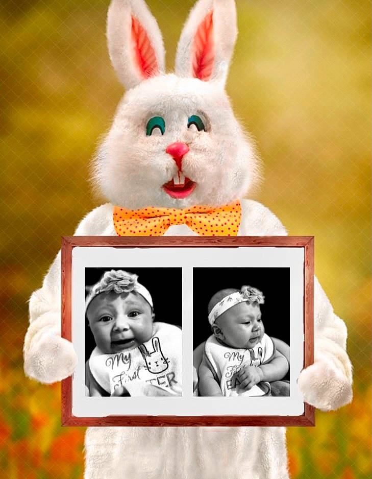 Royaltie joined the competition — help win amazing prizes! art, domestic_rabbit, ear, easter_bunny, fawn, font, gesture, grass, happy, hare, head, organism, person, photograph, photomontage, rabbit, rabbits_and_hares, snapshot, snout, whiskers