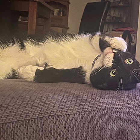 Jinx