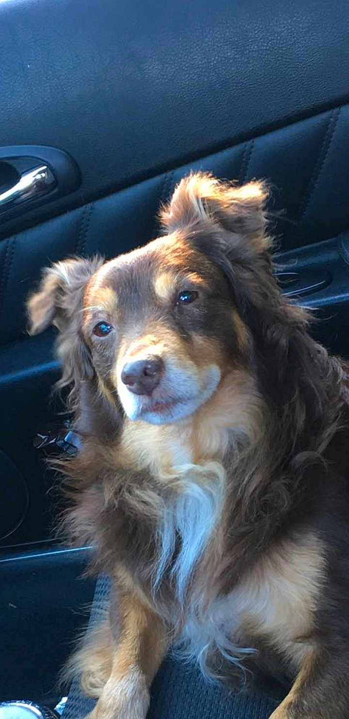 Prince