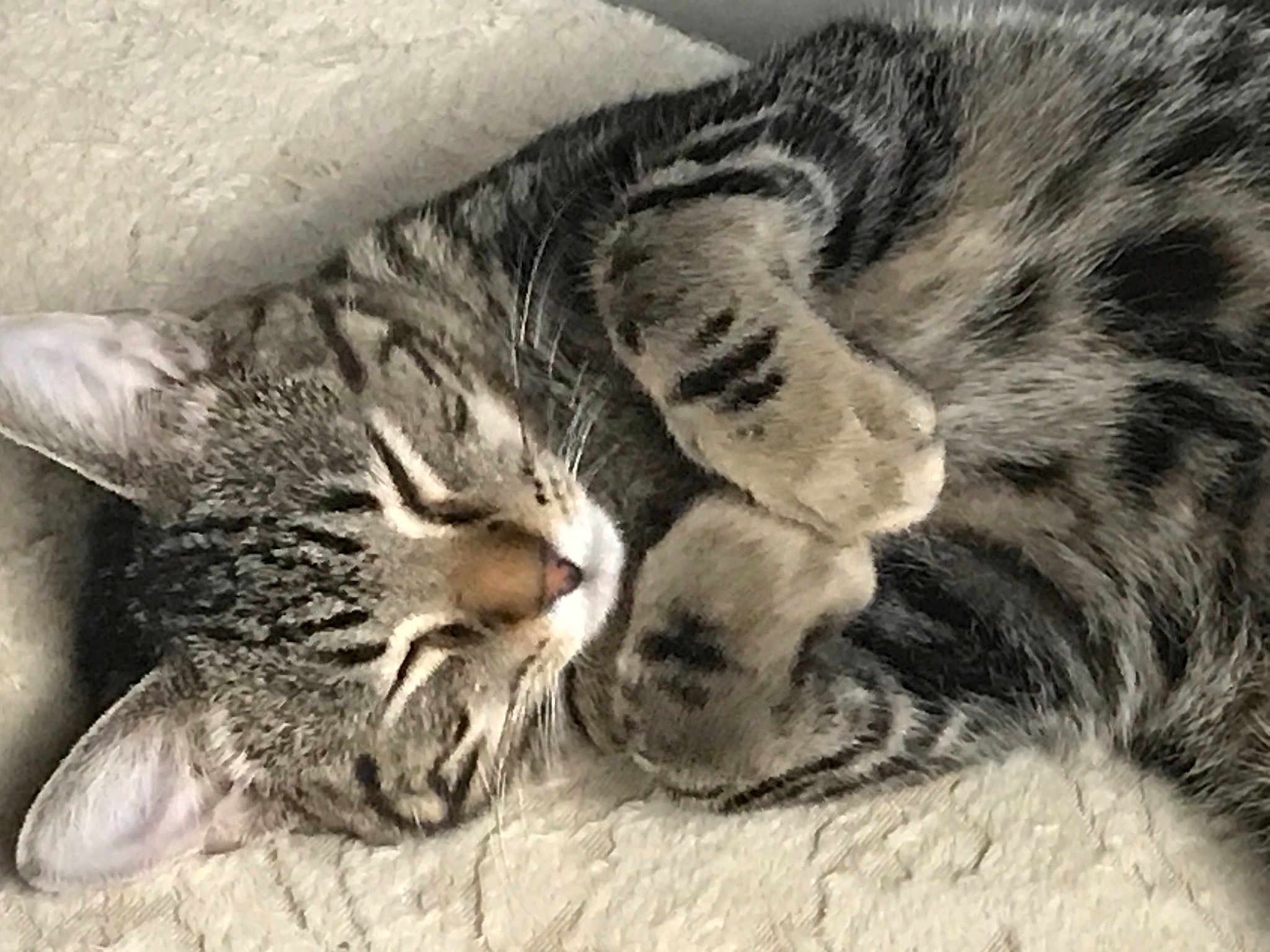 Oliver