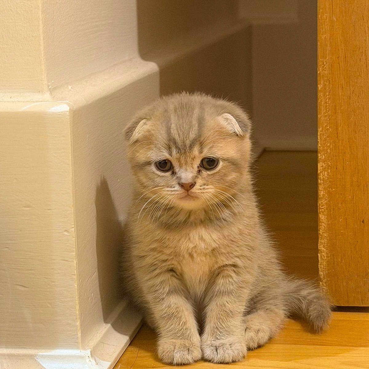 Winnie