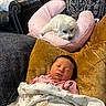 Shiloh is registered to the contest to win money with this photo: baby, sleeping, blanket, cushion, dog, pillow, fur, indoor, rest, cozy, cute, pet, child, comfort, relaxation, furball, home, portrait, peaceful, soft